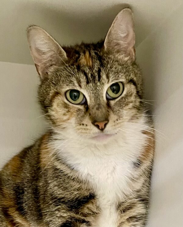 Looking for love? So is Kiki!