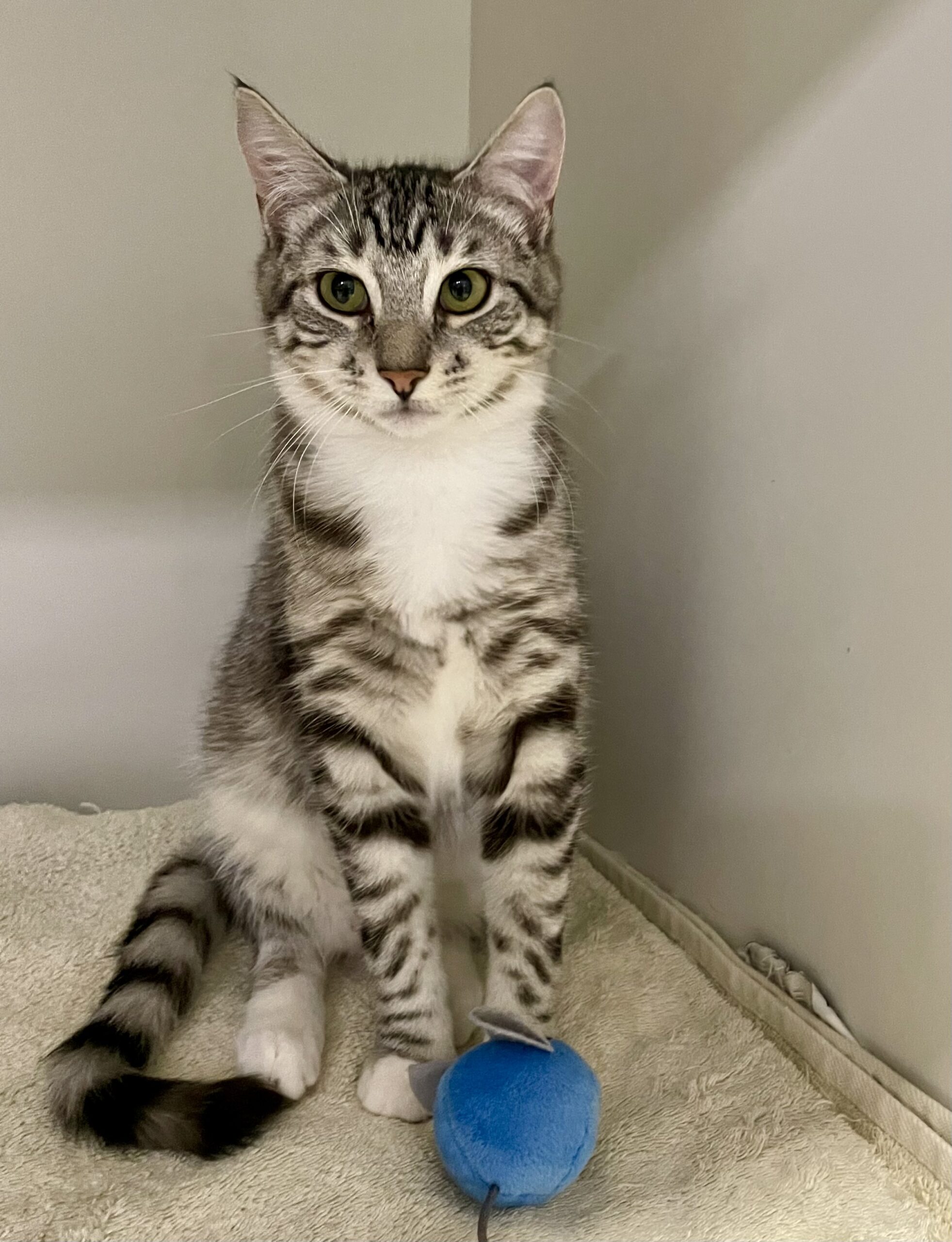 Peter and Brock - Double the fun, double the love - Image 7