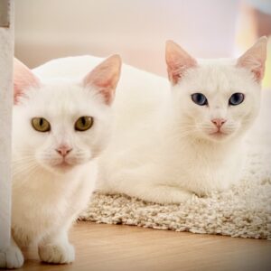 Antoinette and Angelique - a beautiful bond between mother & daughter
