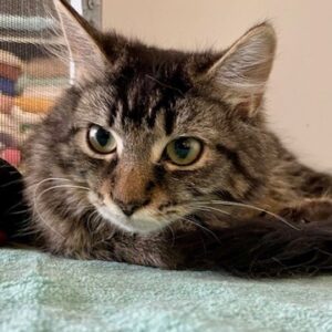 Neptune - beautiful girl