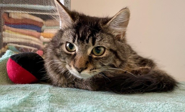 Neptune - beautiful girl