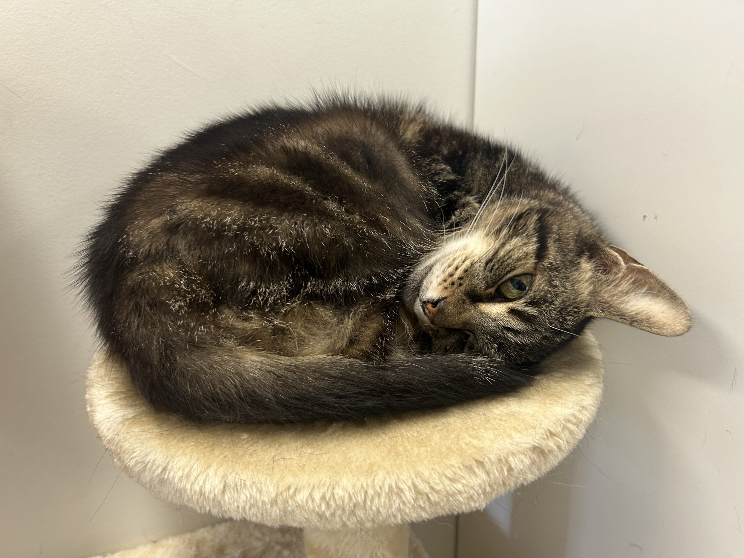 Financial Year 2024/25