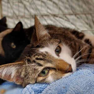 Saturn - friendly, confident boy