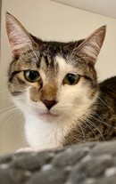 Saturn - friendly, confident boy - Image 2