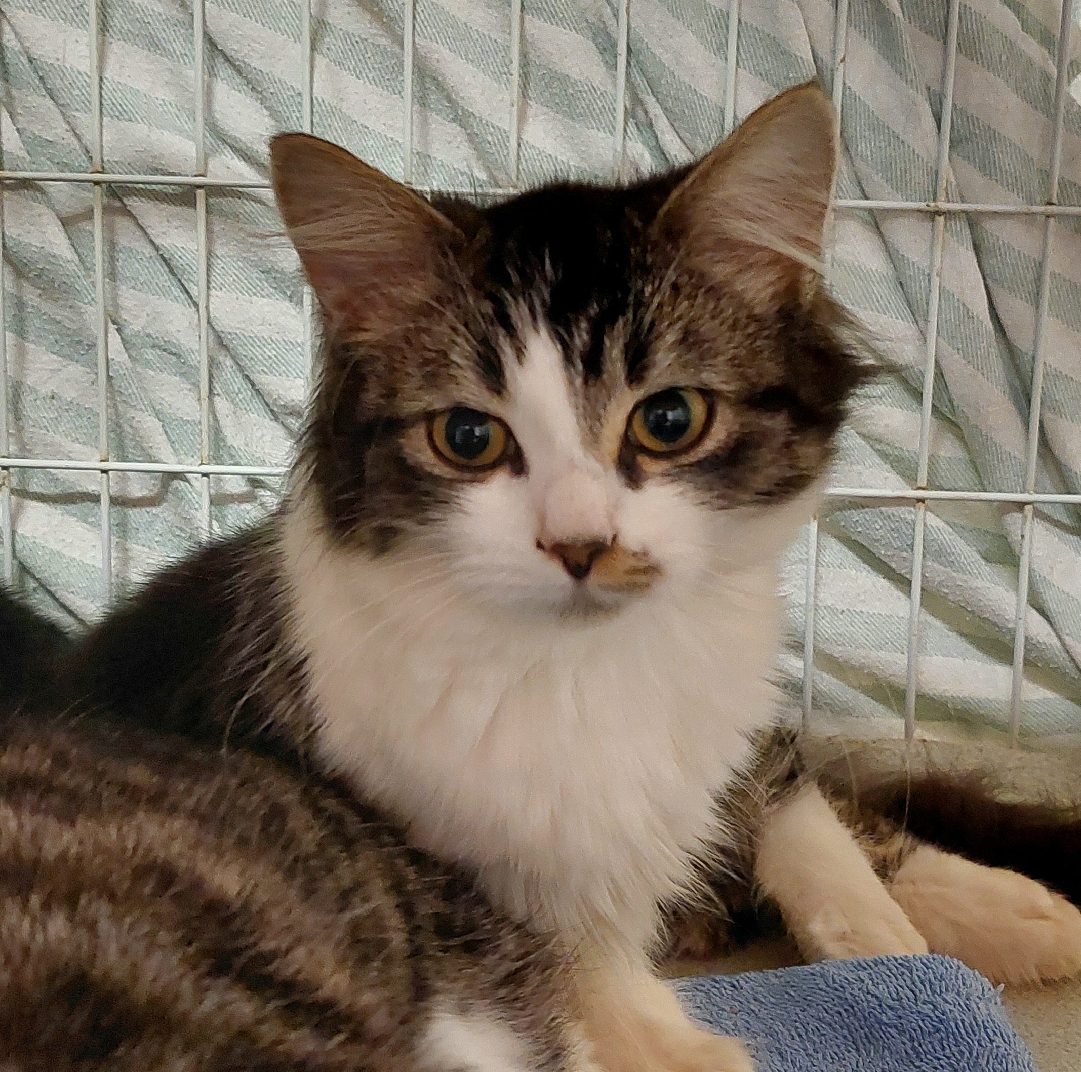 Venus - love her to the moon and back - Image 4