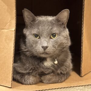 Ben - the calm, charming gentleman