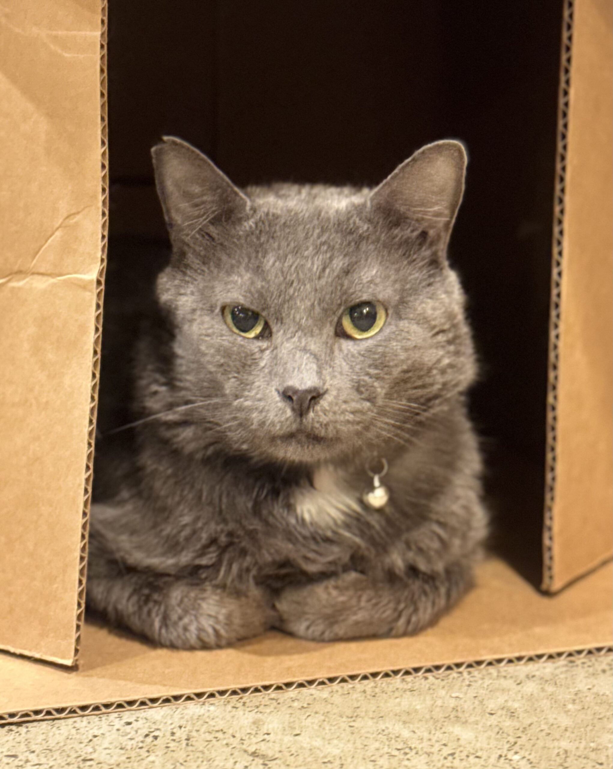 Ben - the calm, charming gentleman