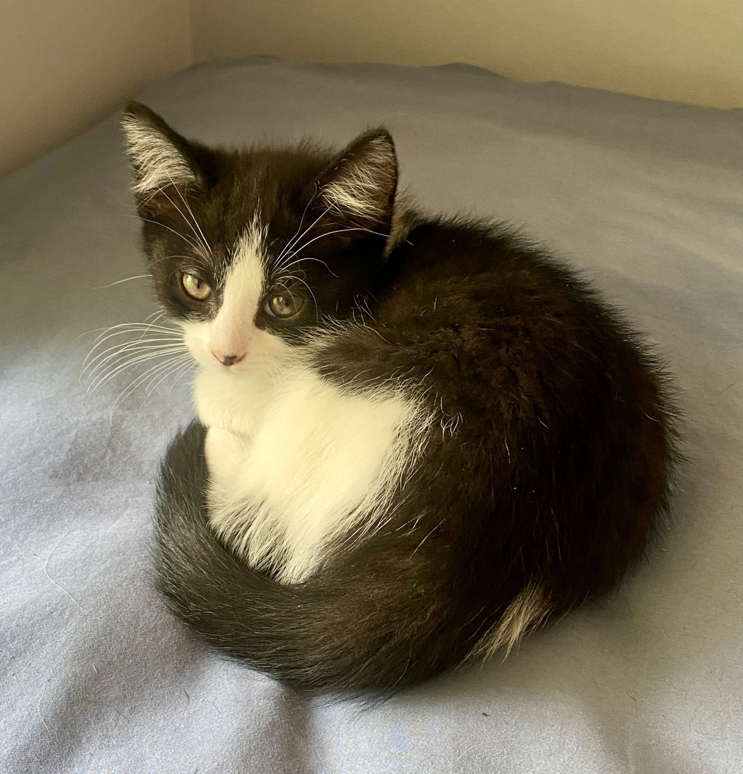 Copy and Paste - the dynamic duo - Image 6