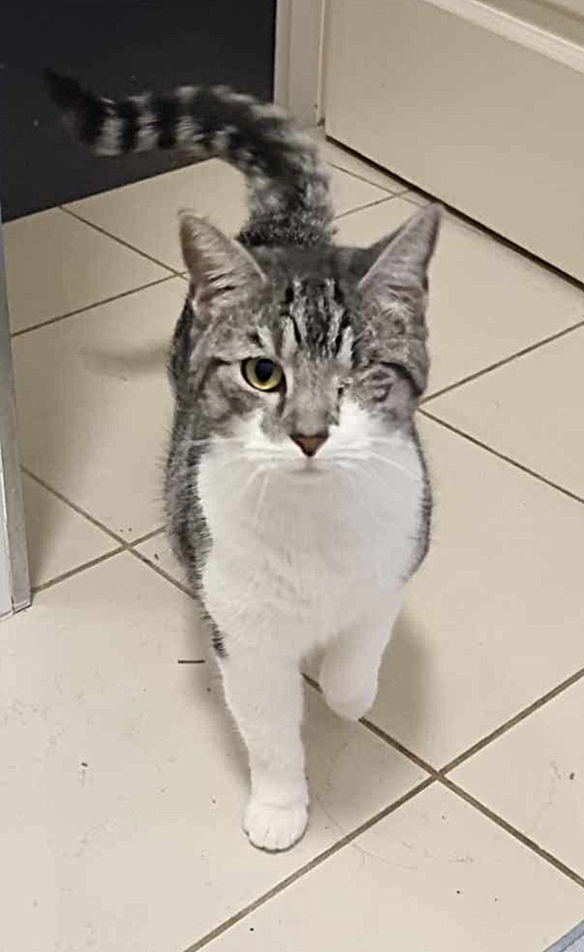 ๐๐๐ฉ๐ฉ๐ฒ ๐ญ๐๐ข๐ฅ๐ฌ – ๐๐๐ข๐ – ๐ฉ๐๐ญ๐ญ๐ข๐ง๐ ๐๐ฎ๐๐๐ฒ & ๐ฆ๐ข๐๐ง๐ข๐ ๐ก๐ญ ๐๐๐ ๐ฌ๐ง๐ฎ๐ ๐ ๐ฅ๐๐ซ