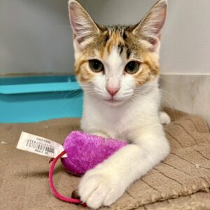 Penelope - adorable and affectionate little girl