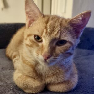 Lara - shy little explorer finding her confidence