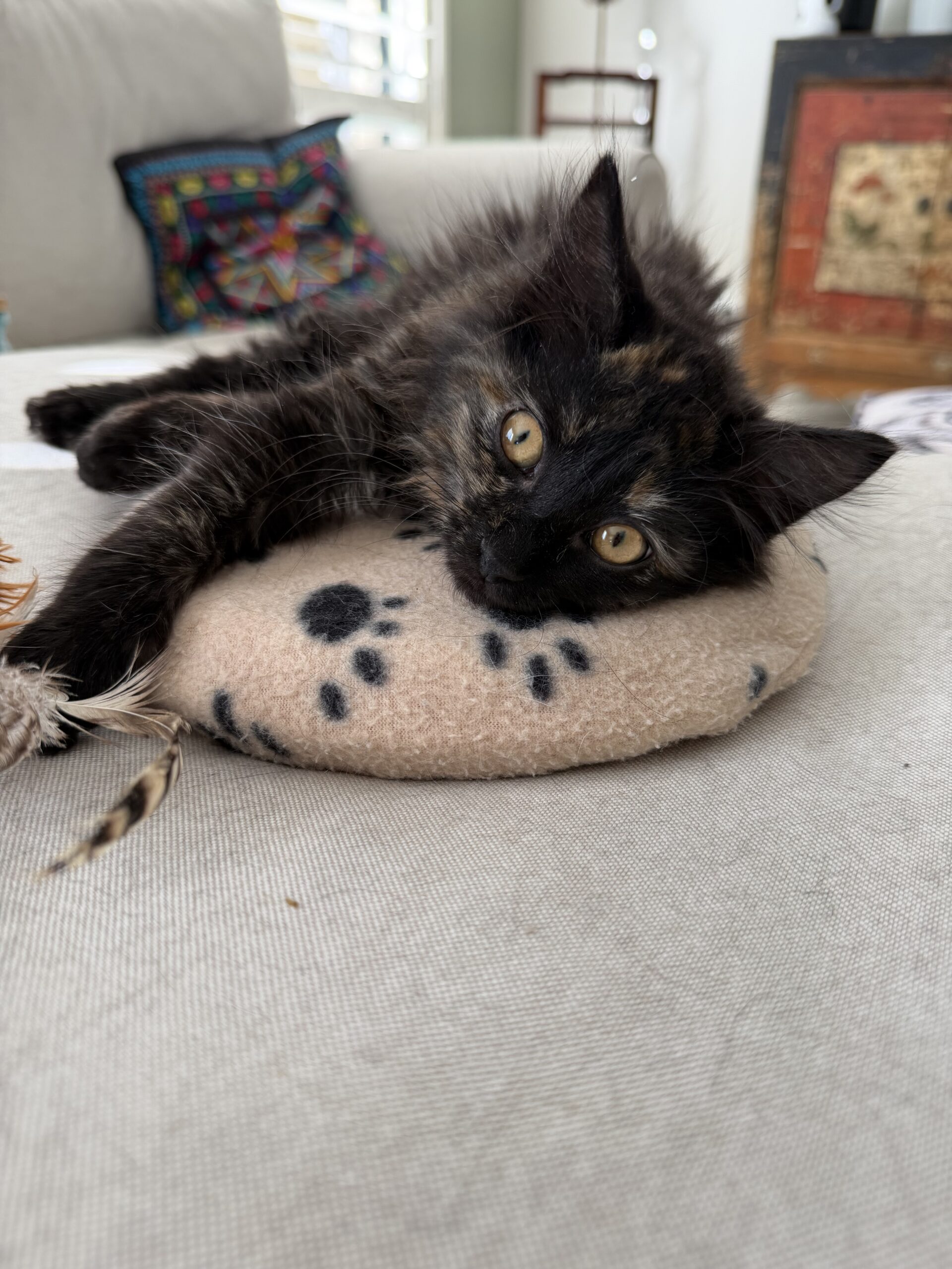 Tilly - Your Future Little Shadow 💕 - Image 2