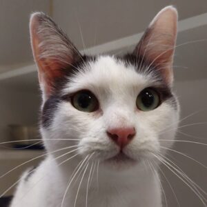Alex - cautious at first, playful at heart