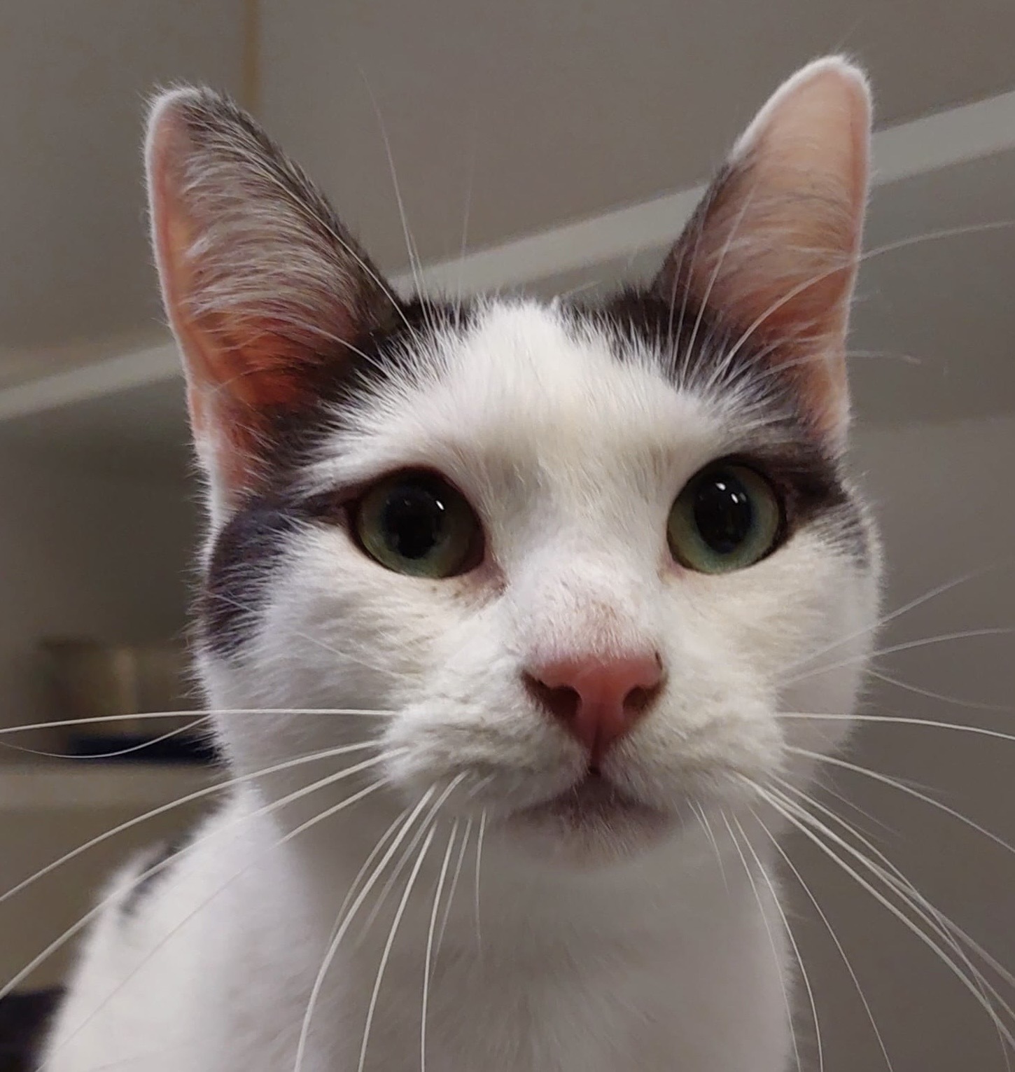 Alex - cautious at first, playful at heart