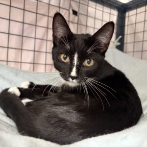 Caitlin - a little lady with a big heart