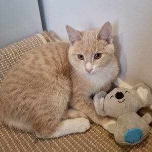 Bryan - quiet little boy who loves cuddles