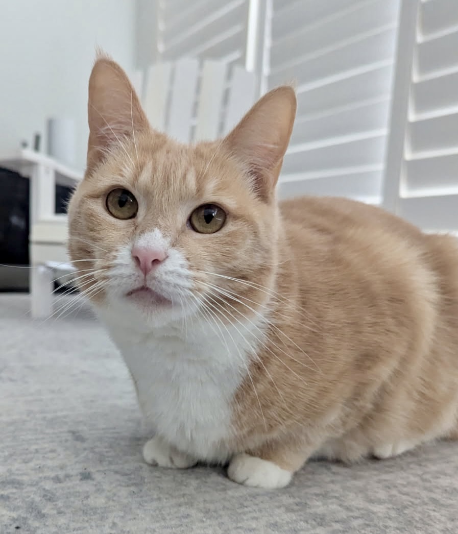 Peaches - a sweet girl who has found her confidence