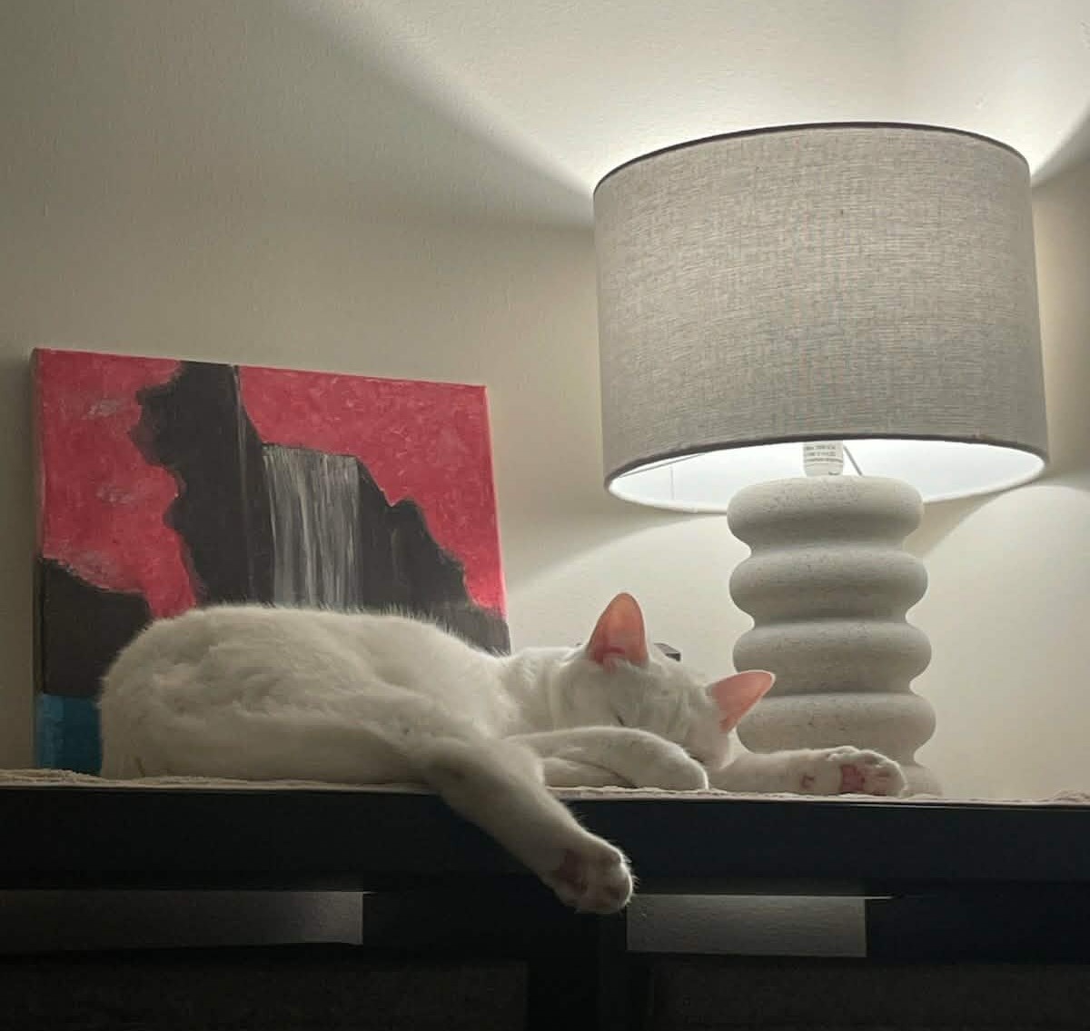 Happy tails – Minty – taking her time…
